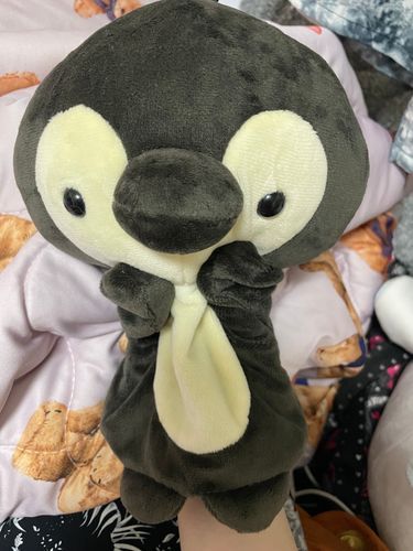 おや？かいぬしのみぎてが……
されちゃったんだ！きせい！！
