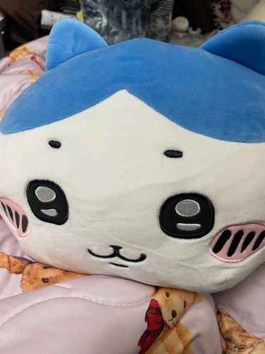 ねこじゃないのにしまわれたゃった