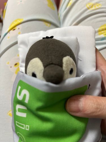 かいぬしのかぞくがにゅういんしちゃったからあまりこれないかも
みんなもごじあいください