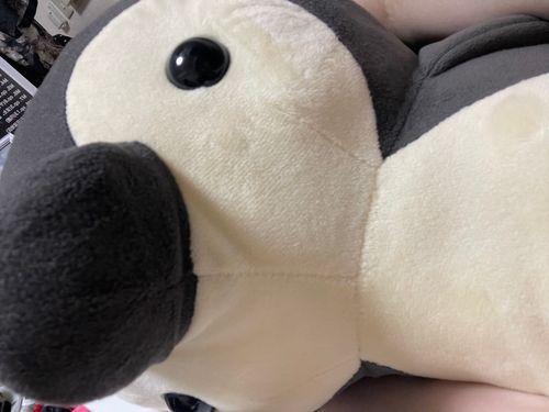 かいぬしへ
せんたくものとりこむじかんだよ！
ねおちしないでかいぬし！