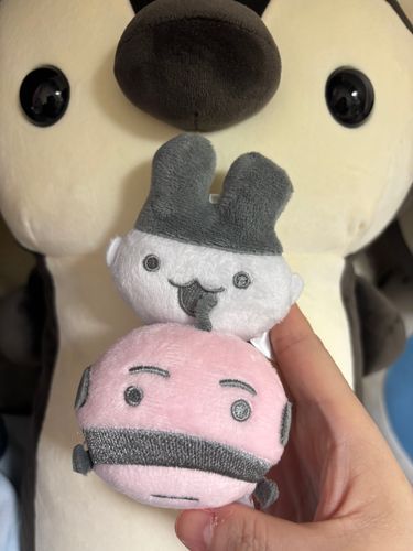 おやこなの？ちがうの？
なかはよさそう！
