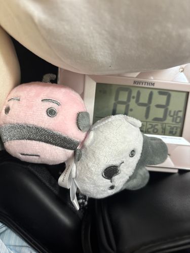 つぶやけなかったわがやのおはようです