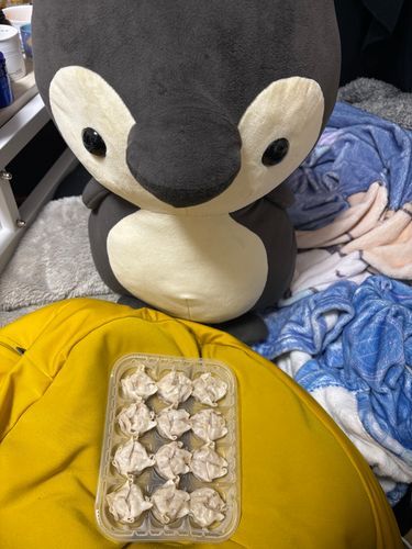 しゅうまい、じゃないよ
しうまい
かいぬしはよこはまのひとだからきびしいんだ
