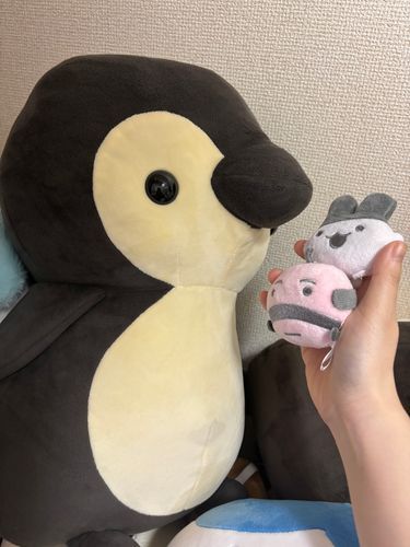 たなばたかいじょうはここですか？
え？！いなかったっけ？？
ねぼすけさんたちだ