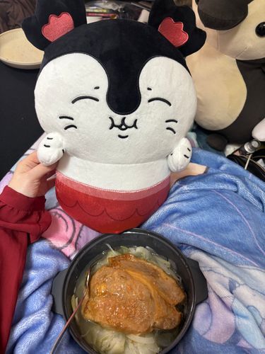 おにくとおやさいでととのうの