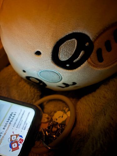 ねれないからかいぬしのすまほでかわいこぶるけんきゅうしてやるっ
