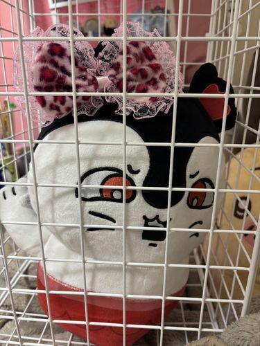 おりにいれて♪ってちがーう！！
なんでいれられてるの？！