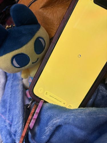 たまごっちしんだんがよみこまれません
まめっちなのがばれてるのでしょうか？