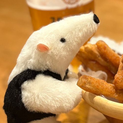 ミナミコアリクイ