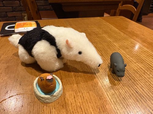 みなこ、ミナミコアリクイなの
神戸どうぶつ王国からきたの
よろしくの