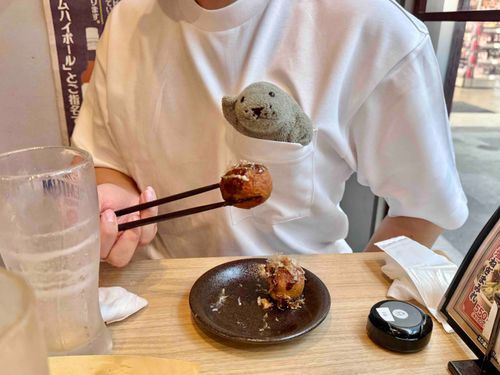 もっさんな、ニンゲンの にーちゃんに たこ焼き 食べさせてもらってる 🐙

（もっさん）