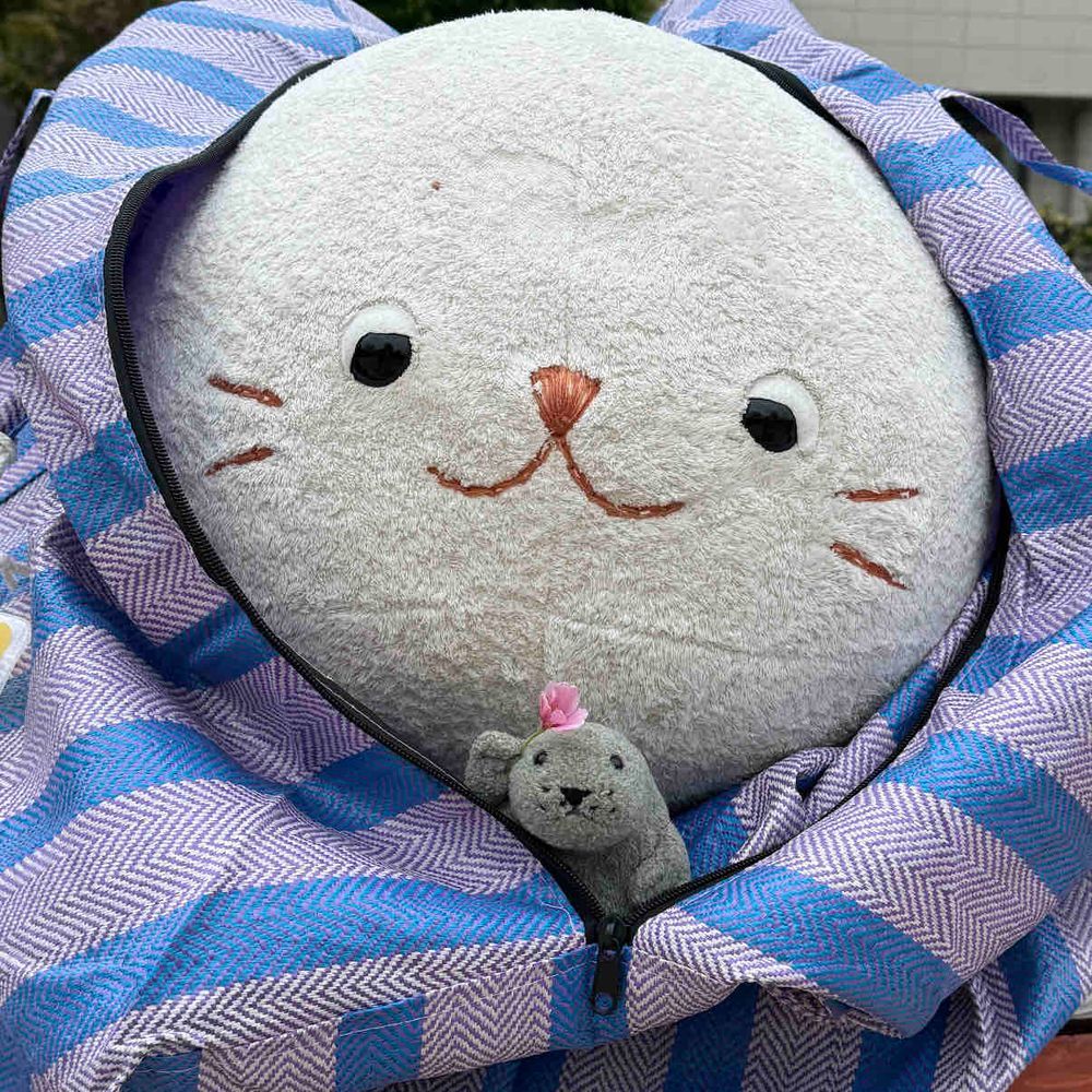 ぶーちゃん IN おそと！
（...OUT ?）

きょうは ニンゲンが はやおきをして、ぶーを きんじょの こうえんに つれてってくれた！

サクラ、だいぶ ちってたけど
ぶーも ホンモノ みられたぞ🌸