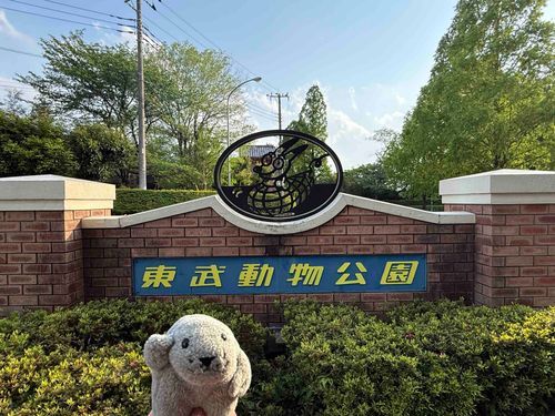 ゴールデンウィークに、
もっさんは ファミリー達と 動物園に行ってきたぞ！🦒🦘🐘🐑

世の中には アザラシ以外にも たくさんの種類の どうぶつさん達がいるんだな〜

とっても 楽しかったし 勉強になったぜ

（もっさん）