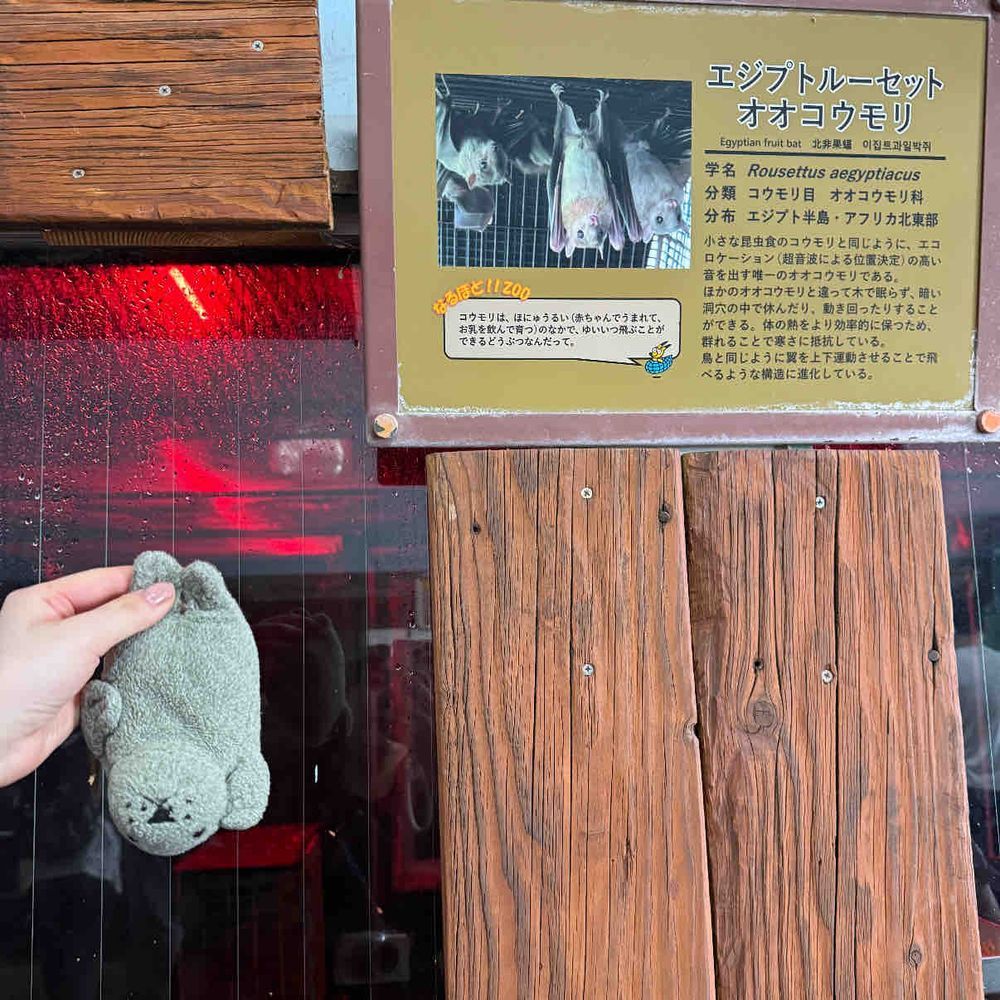 ゴールデンウィークに、
もっさんは ファミリー達と 動物園に行ってきたぞ！🦒🦘🐘🐑

世の中には アザラシ以外にも たくさんの種類の どうぶつさん達がいるんだな〜

とっても 楽しかったし 勉強になったぜ

（もっさん）