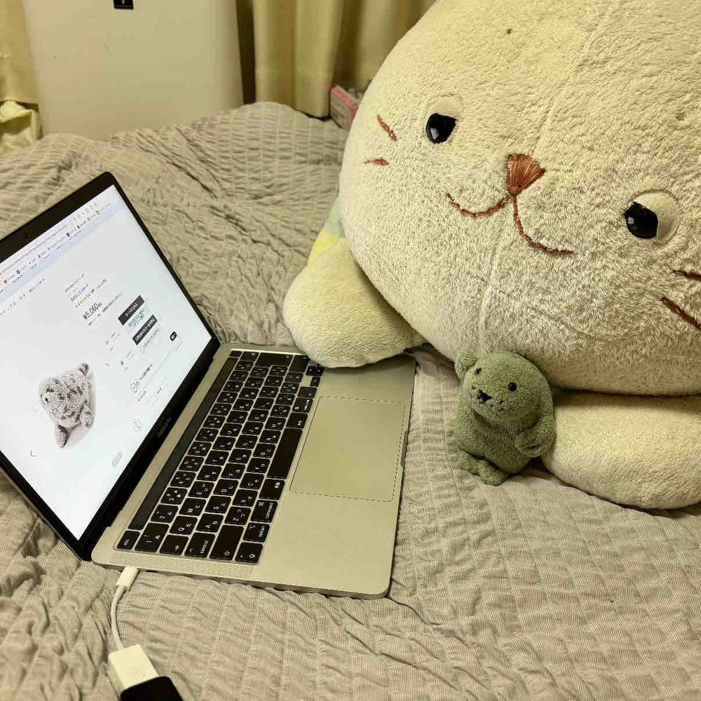みんな、ヤッホー
ぶーの おうちに ニューフャミリー🏠

ジェラートピケ？の
あざらしコレクションの
「ぴけさん」🦭✨

ぴけさんは むくちだけど、
からだの うごきで きもちを ひょうげんしてくれるんだ〜
もっさんは さっそく ぴけさんで ドライブさせてもらってた🚗💨

（まえから このこ おむかえしたいね〜って はなしてたから うれしいな〜🦭🦭🦭）