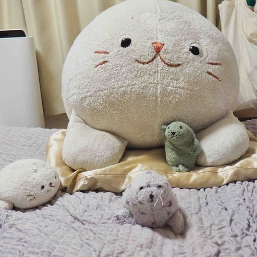 みんな、ヤッホー
ぶーの おうちに ニューフャミリー🏠

ジェラートピケ？の
あざらしコレクションの
「ぴけさん」🦭✨

ぴけさんは むくちだけど、
からだの うごきで きもちを ひょうげんしてくれるんだ〜
もっさんは さっそく ぴけさんで ドライブさせてもらってた🚗💨

（まえから このこ おむかえしたいね〜って はなしてたから うれしいな〜🦭🦭🦭）