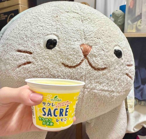 もう ことしの シャリシャリも おわりなのかな〜？🍋🍨