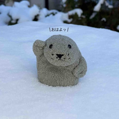 みんな、おひさ！
ぶーちゃん＆もっさんズは ニンゲンの ふるさとに ついてきているぞ！

雪がいっぱいで アザラシにとっては 天国だな〜

さっそく埋もれてみたぞ🌨️


（もっさん）