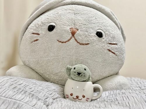 みて〜
ぶーと おんなじ ねむねむの マグカップだよ☕️

ちょっと むかしのだから
メリカリだよ