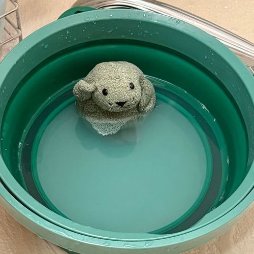 もっさん、時々ニンゲンに
お風呂に入れられちゃうぞ♨️

おすすめの ボディソープは、アリエールだ！

（もっさん）