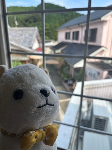 ⛰️