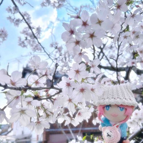 今年も一緒にお花見できたよ〜来年も一緒に桜見れますように🌸今年もTL目の保養だ〜かわいい🌸