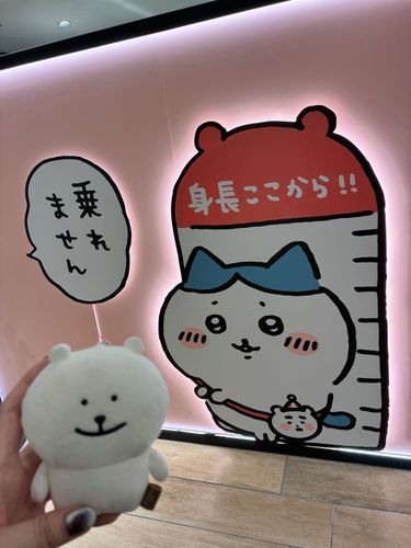 乗れないって⁝( ;ᾥ; )⁝