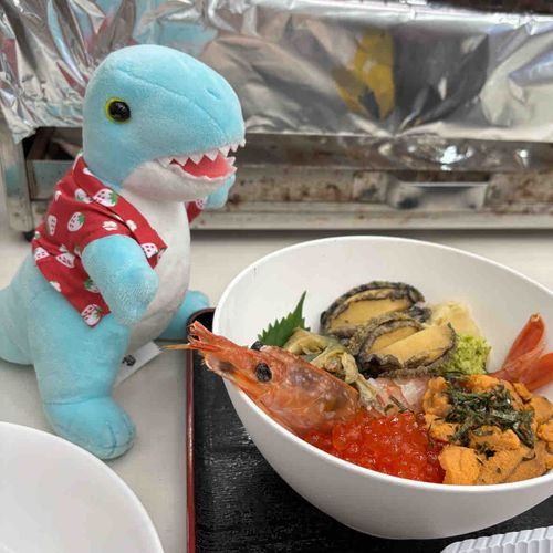 ごうかな海鮮丼だ！🦕
(パステルきょうりゅう)