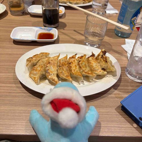 宇都宮ぎょうざ、うまかった！🦕