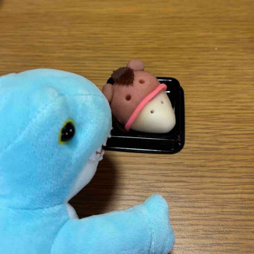 うま…🦕