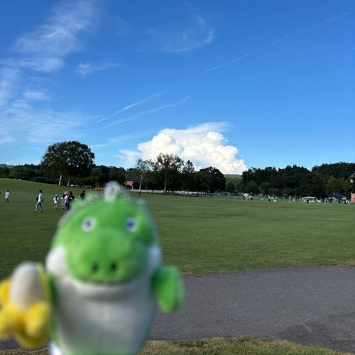 牧場にきた。
ばにお🍌🐊