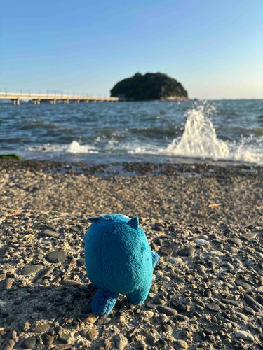海にきたよ🌊ただぼんやり見るのもいいよね