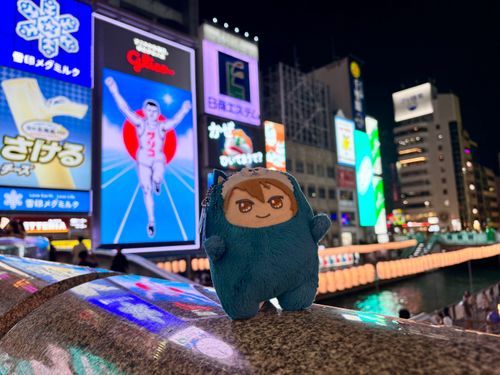 夜もきました！キラキラしてた！
