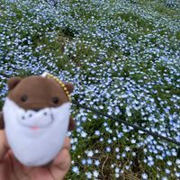 しねまる