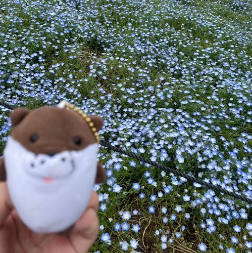 一人称はおいら 人前ではボク
海遊館でであってから友達だよ

