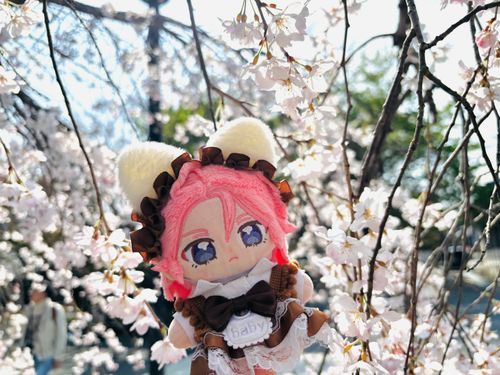 はじめまして、こんにちは〜🌸