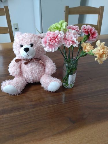 バレンタインに550円で買ったピンクのテディベアちゃん🧸♡
信じて貰えませんがえのぐぺんきはバレンタイン誕生日なんです🍫🎂