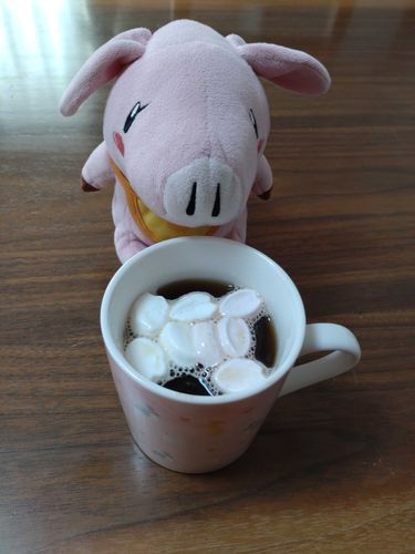 おはようございます♡
今日も1日夢に向かって頑張りましょうね♪
ホークちゃん🐷とマシュマロ入りのコーヒー☕
意外とえのぐぺんきはブラックでも飲めますが☆