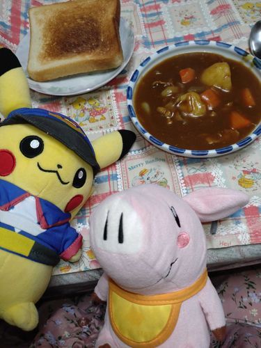 カレー🍛はえのぐぺんきの手作り！