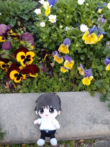 すみませんm(_ _)m
今日は人型ですが
乙骨くんとお散歩したよ❀