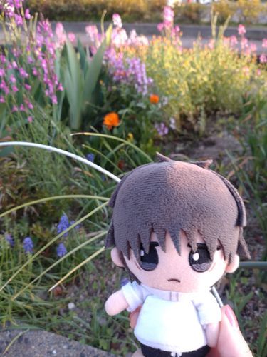 もういっちょ！
乙骨くん❀