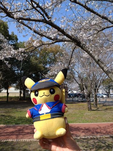 よっ！オレマサラタウンのサトシ！
ピカピ〜！
ピカチュウと桜観たんだ！
ピカピカ
凄く綺麗だったぜ！
ピカチュウ♡
じゃあ特訓するからまたな！！
ピッカ〜！！