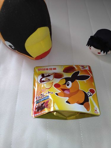 おさつどきっ♡
ポケモンのポカブとカグラバチのチヒロ