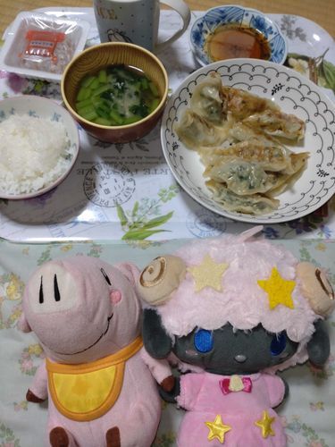 えのぐぺんきママと餃子作りました🥟
