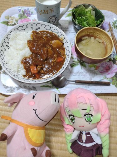 ホークちゃんとみつりちゃんでカレー🍛
えのぐぺんきママとえのぐぺんきが作りました♡

