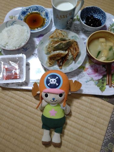 初登場のチョッパー🌸
餃子です🥟