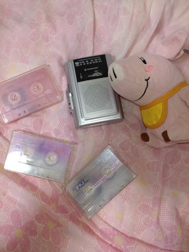 ホークちゃんのぬいママのえのぐぺんきは音楽大好きなんです♪
聴く媒体にもこだわりあり。
最近はカセットがマイブーム。
ELTなどの懐メロをよく聴きます♪
「Time goes by」などが好き☆