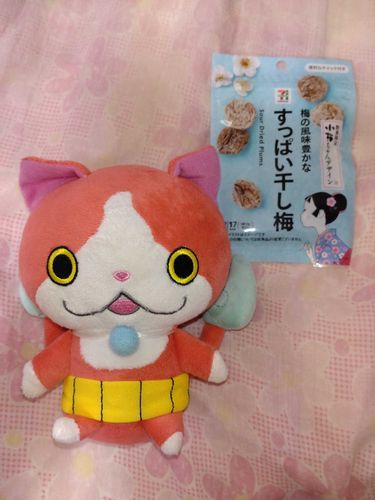 干し梅にゃん！