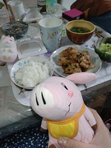 散らかっててすみません💦
唐揚げ。