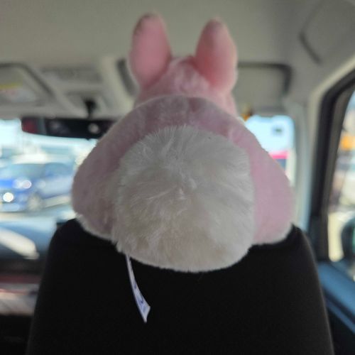 ぷりちーなおちり🫣💕